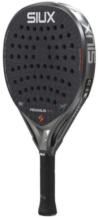 SIUX PEGASUS PRO '26